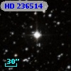 HD 236514