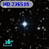 HD 236518