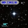 HD 236520