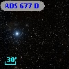 ADS   677 D
