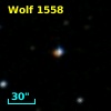 NLTT 53346