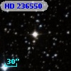 HD 236550