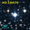 HD 236570
