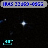 IRAS 22169-0955
