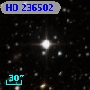 HD 236502