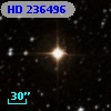 HD 236496