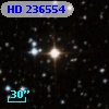 HD 236554