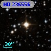 HD 236556