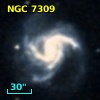NGC  7309