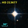 G 156-19