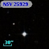 NSV 25929