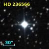 HD 236566
