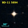 BD-11  5894