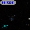 PB  7236