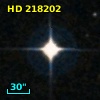 HD 218202