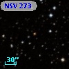 NSV   273