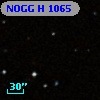 NOGG H 1065