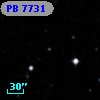 PB  7731