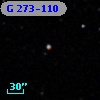 G 273-110