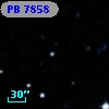 PB  7858