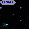 PB  7969