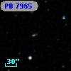 PB  7985