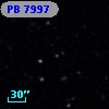 PB  7997