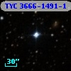 TYC 3666-1491-1