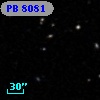 PB  8081