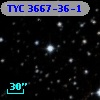 TYC 3667-36-1