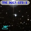 TYC 3667-173-1