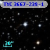 TYC 3667-238-1