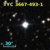 TYC 3667-493-1