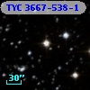 TYC 3667-538-1