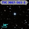 TYC 3667-561-1