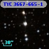 TYC 3667-665-1