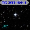 TYC 3667-899-1
