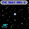 TYC 3667-905-1