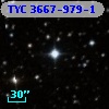 TYC 3667-979-1