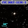 TYC 3667-1136-1