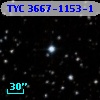 TYC 3667-1153-1