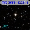 TYC 3667-1225-1