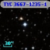 TYC 3667-1235-1