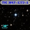 TYC 3667-1273-1