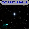 TYC 3667-1303-1