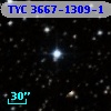 TYC 3667-1309-1