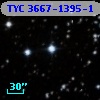 TYC 3667-1395-1
