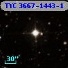 TYC 3667-1443-1
