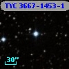 TYC 3667-1453-1
