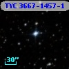 TYC 3667-1457-1